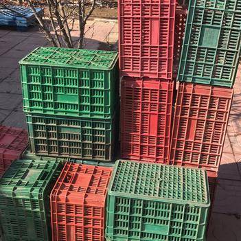 王恒峰 专注食用农产品批发的诚信供应商