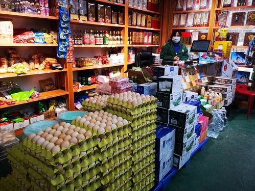 微聚焦 雁塔区启动“三保”行动，全力守护市民“菜篮子”与畜牧渔业“粮袋子”