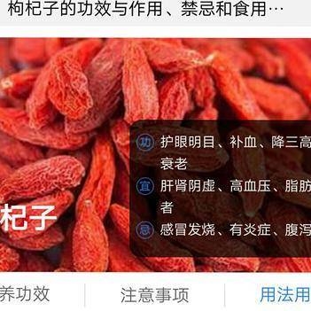 深耕源头，服务终端 雷栋梁的农产品批发供应之路